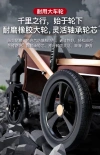 Baby strollers, high-view strollers, children's strollers undefined